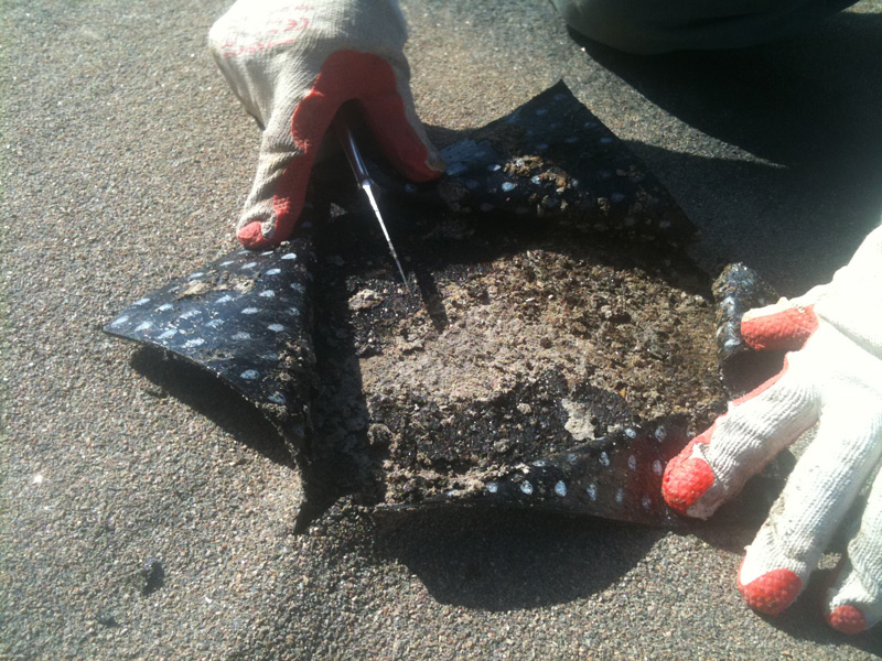 attachment.php?attachmentid=105868&stc=1&d=1303231578